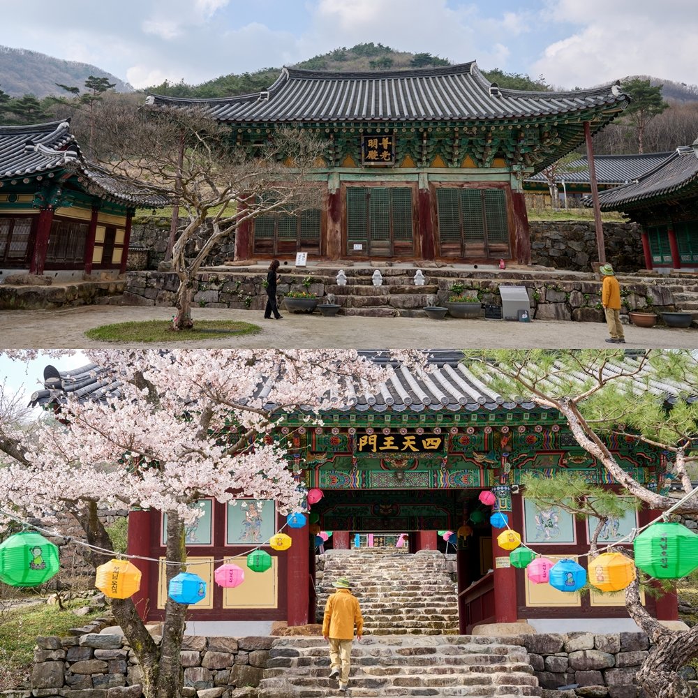 봄의 정취가 무르익은 위봉사의 사천왕문. 비구니 도량으로 사찰 건축물의 배치나 공간 구성이 거창하거나 화려하진 않지만, 세련되고 단아하다는 표현이 참 잘 어울리는 사찰이다.
사진제공|지앤씨21