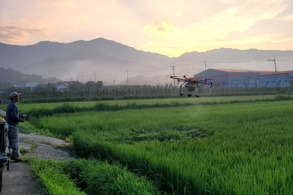 무주군이 벼 무인항공 공동방제를 실시하고 있는 모습. 사진제공 | 무주군