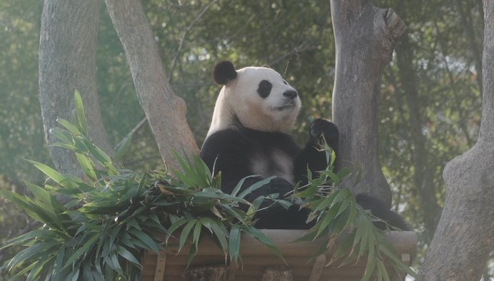 영화 ‘안녕, 할부지’. 사진제공｜에버랜드