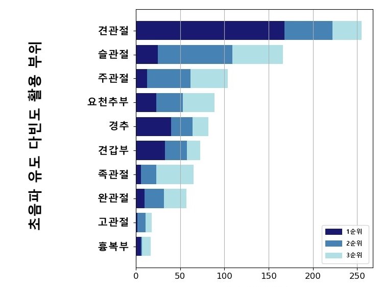 초음파 유도 다빈도 활용 부위