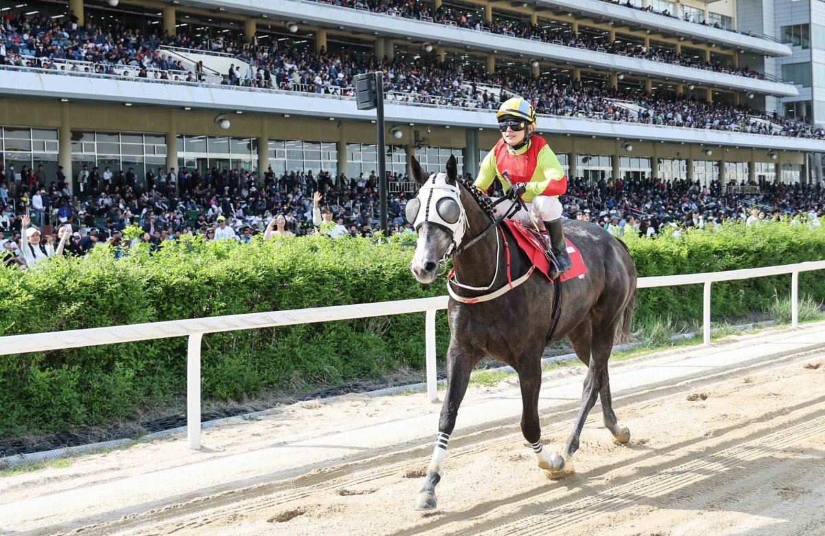 ‘즐거운여정’. 사진제공｜한국마사회