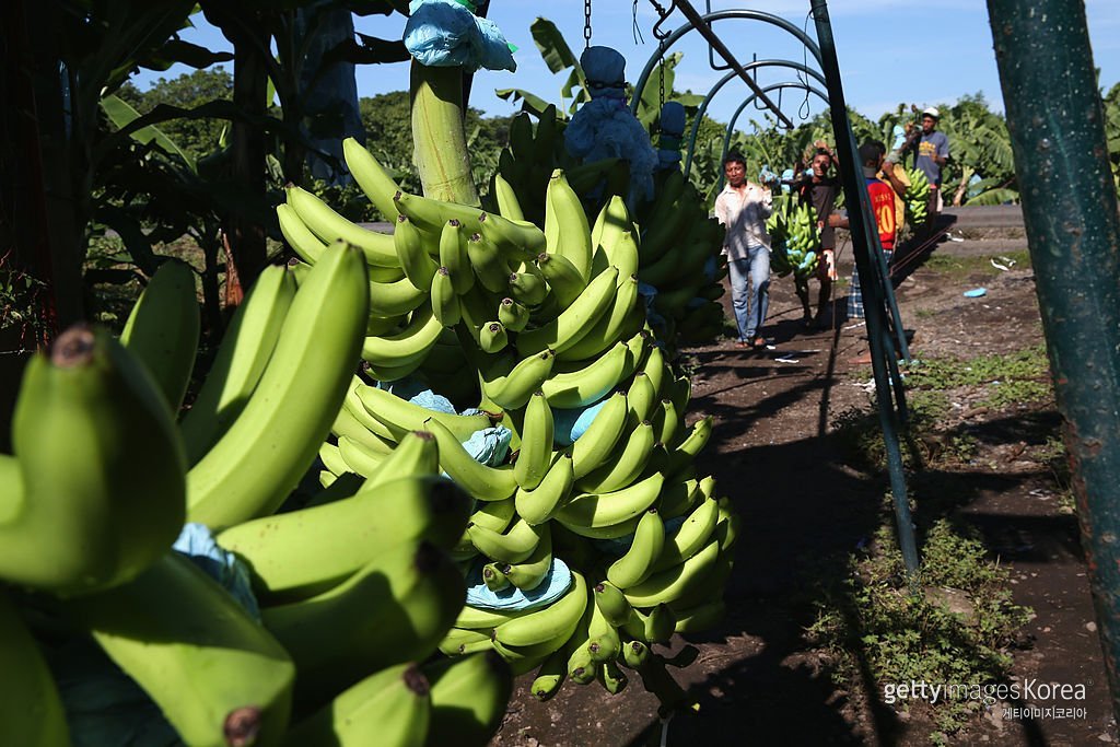 사진=게티이미지코리아.