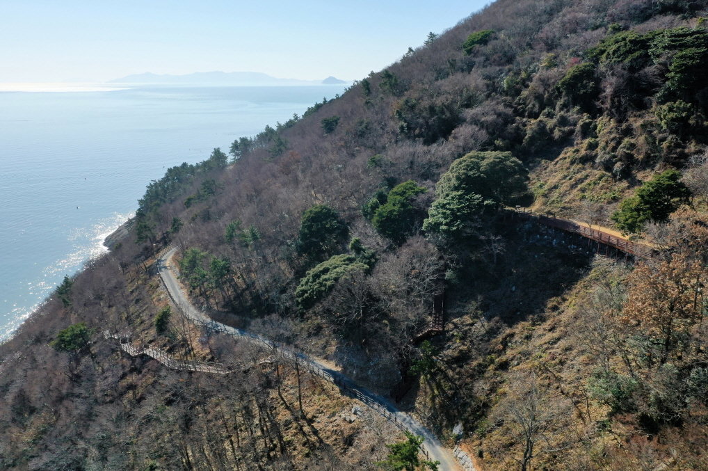 완도군 섬 숲 경관복원 사업 대상지인 약산면 해동리. 사진제공 | 완도군