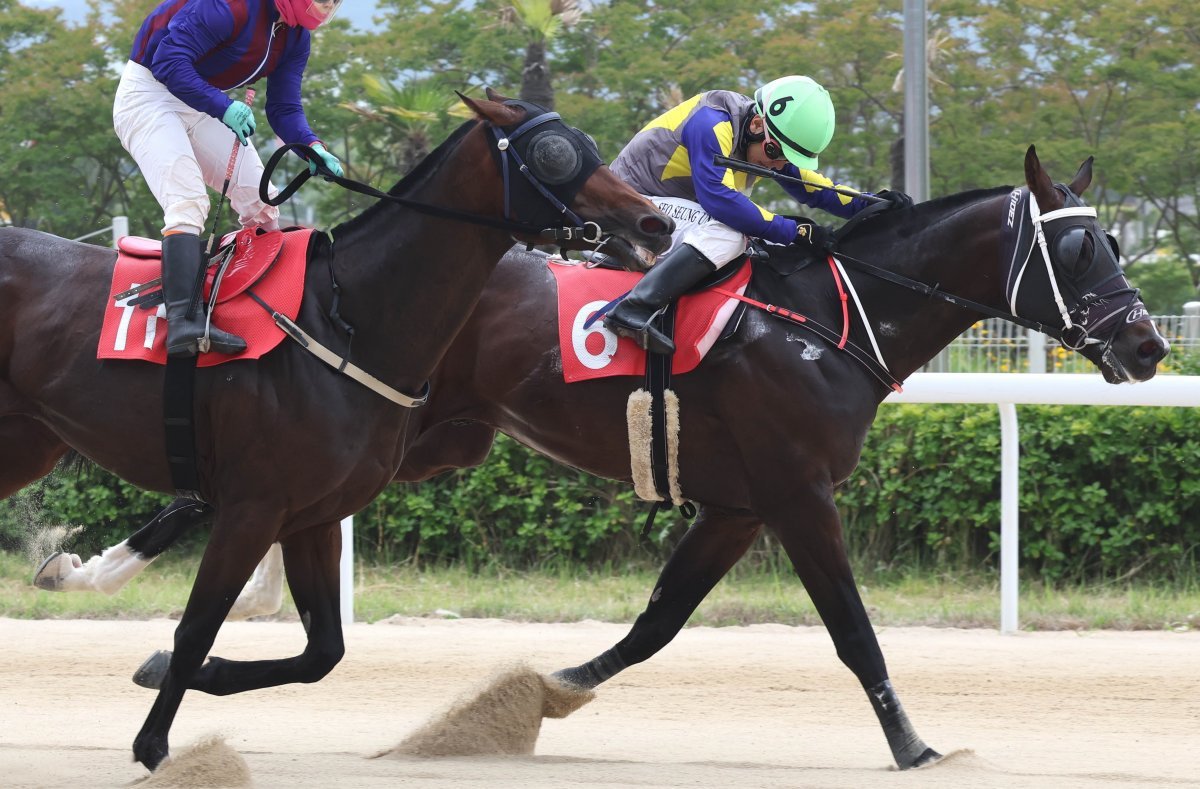 투혼의반석. 사진제공|한국마사회
