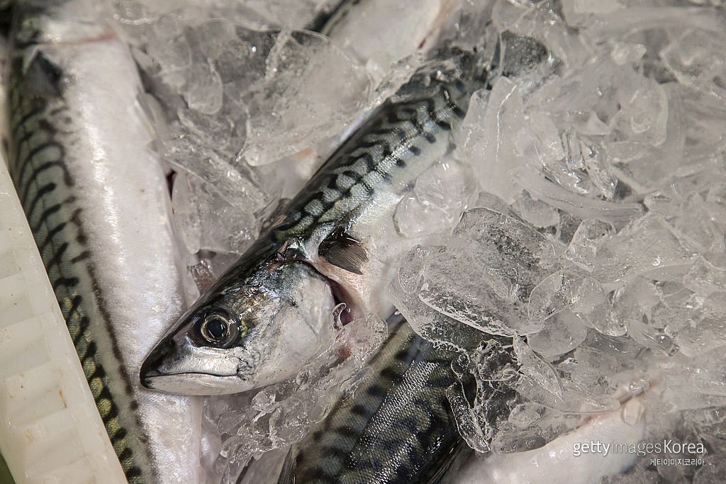 사진=게티이미지코리아.