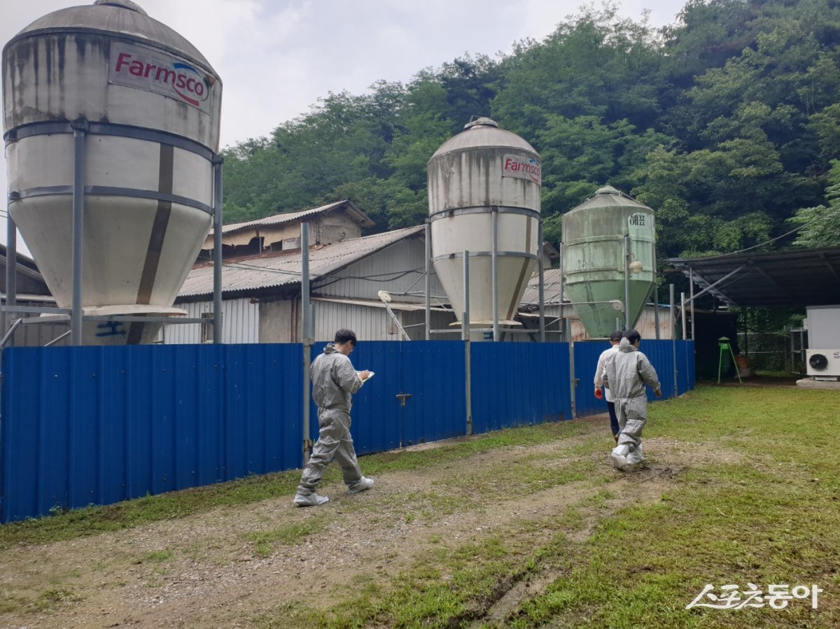 봉화군 관계자들이 돈사 시설에 대해 방역실태를 점검하고 있다./사진=봉화군