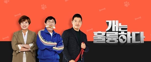 ‘개는 훌륭하다’, 사진제공｜KBS