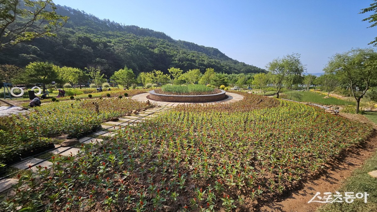 V랜드 공원 사진. 사진제공=강진군