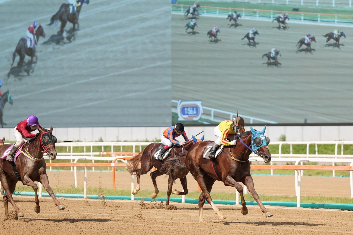 23일 열린 ‘제13회 스포츠동아배 ’에서 바덴바덴의 추격을 뿌리치고 가장 먼저 결승선을 통과하는 한강파워와 유승완 기수 사진제공｜한국마사회