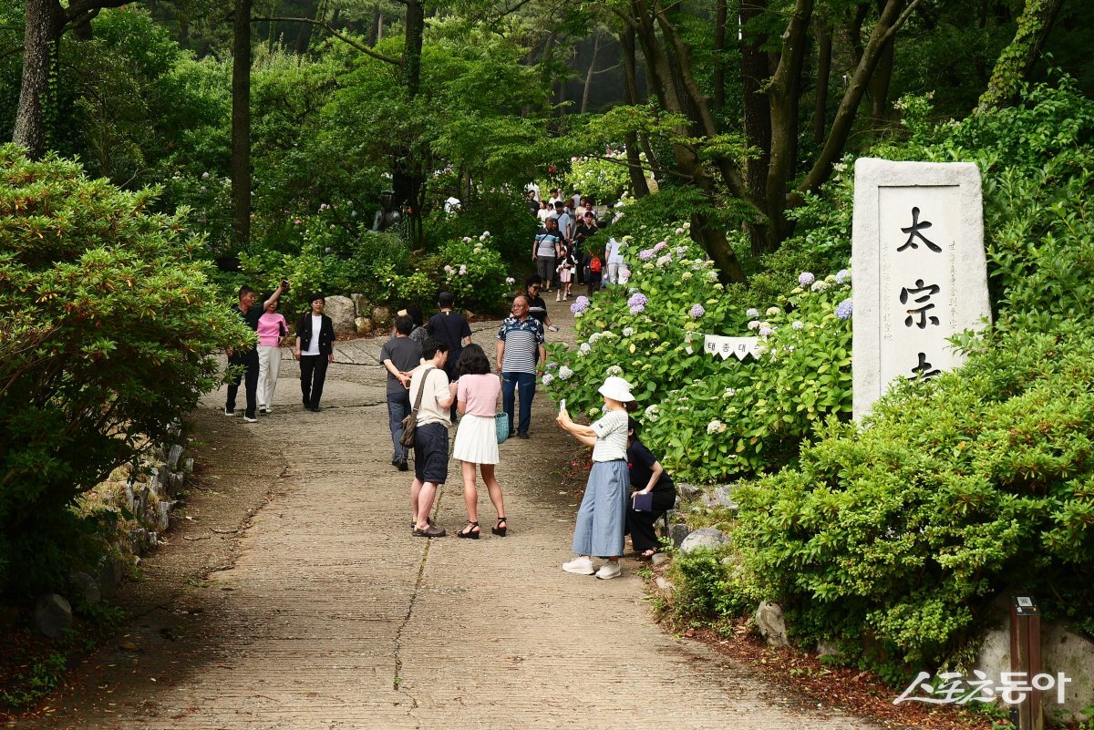 지난 23일 태종대유원지 내 태종사 입구 전경. (사진제공=부산시설공단)