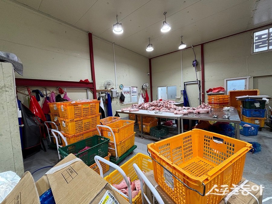 표시기준 위반으로 적발된 축산물 판매업체의 작업장 모습. 사진제공 | 대전시청