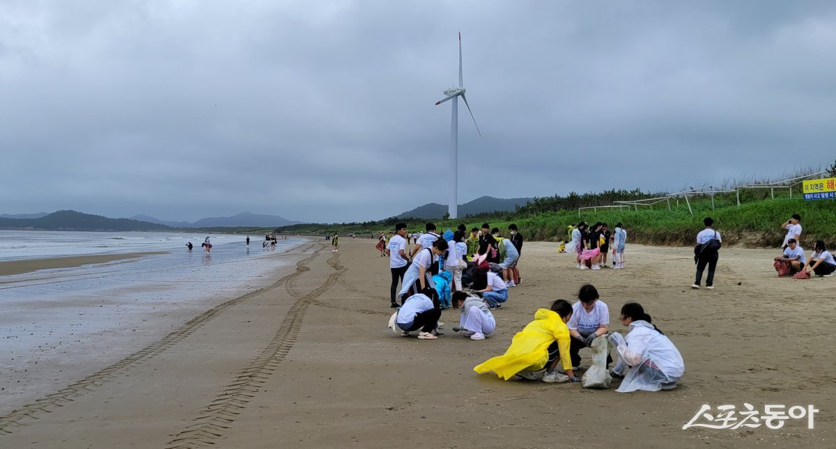 지난해 국제 청년 섬 워크캠프 해안정화활동 모습. 사진제공=전남도
