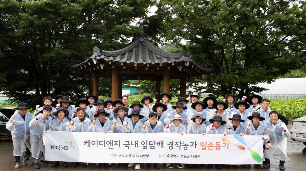잎담배 농가 봉사에 참여한 KT&G임직원들.