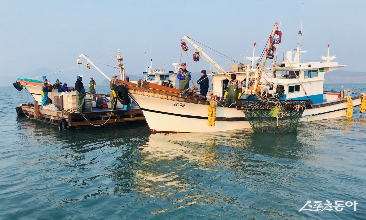 전라남도가 어업인에 어선 및 어선원 재해보험료 자부담 전액을 지원한다고 밝혔다. 사진제공=전남도