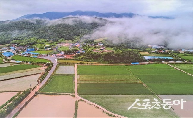 전남도 유기농 생태마을로 지정된 장흥군 지북마을. 사진제공=전남도