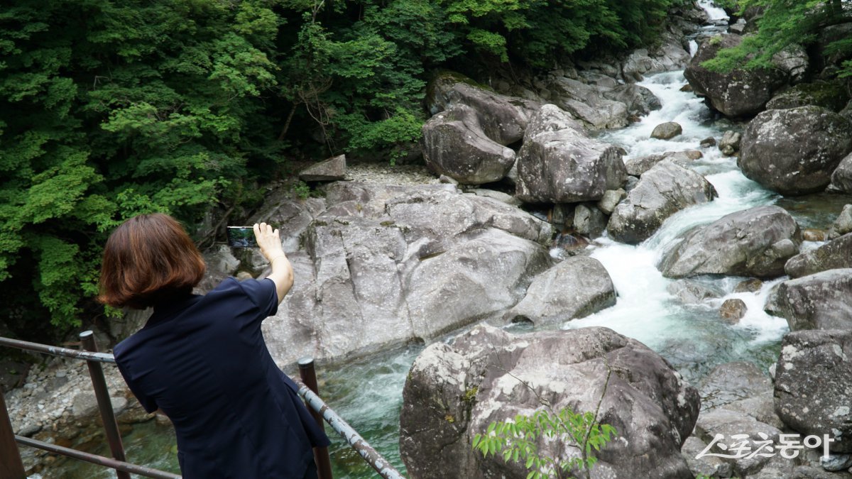 뱀사골은 1732m 반야봉에서 반선까지 산의 북사면을 따라 이어진 14km의 골짜기다. 장관으로 소문난 가을 단풍 못지않게 여름 뱀사골도 여행객들에게 사랑받는 피서 명소이다                                                     남원｜김재범 기자