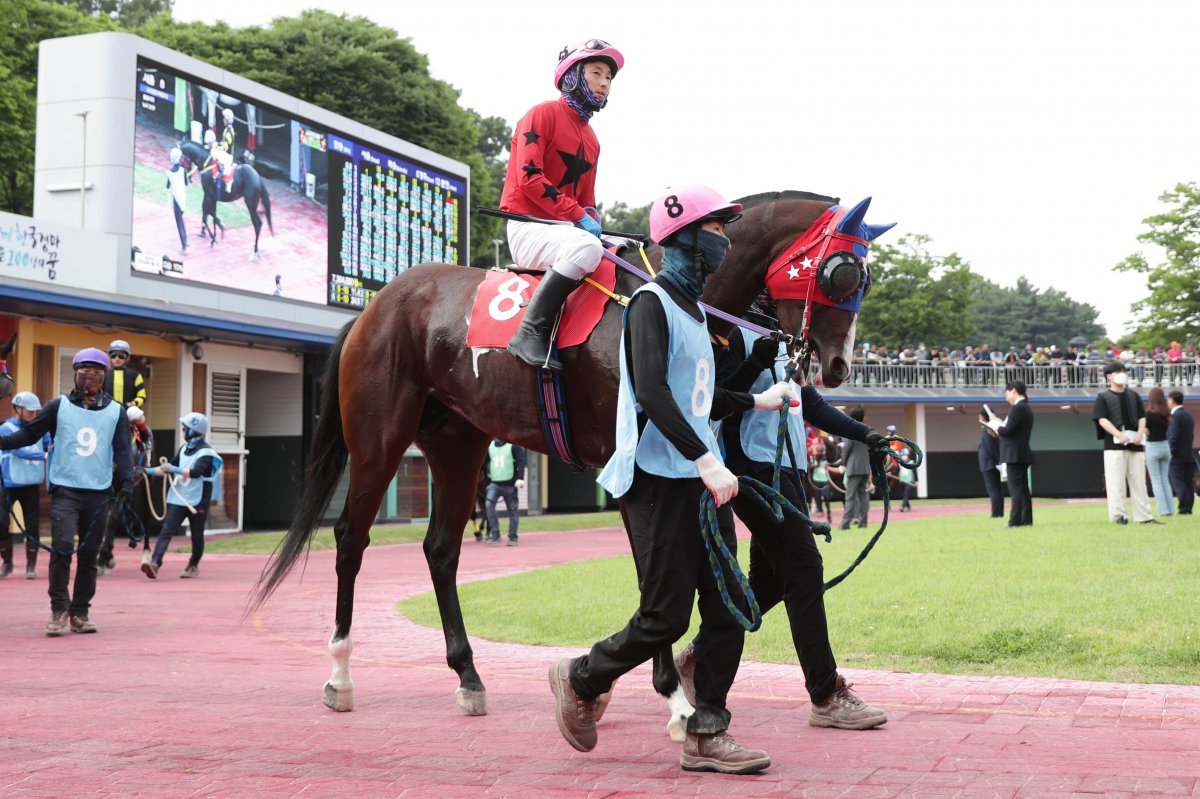 1600m 일반경주에서 연승을 기록하며 상승세를 타고 있는 도끼불패. 장거리의 뒷심 부족을 해결하는 것이 상위권 진입의 과제로 꼽힌다. 사진제공|한국마사회