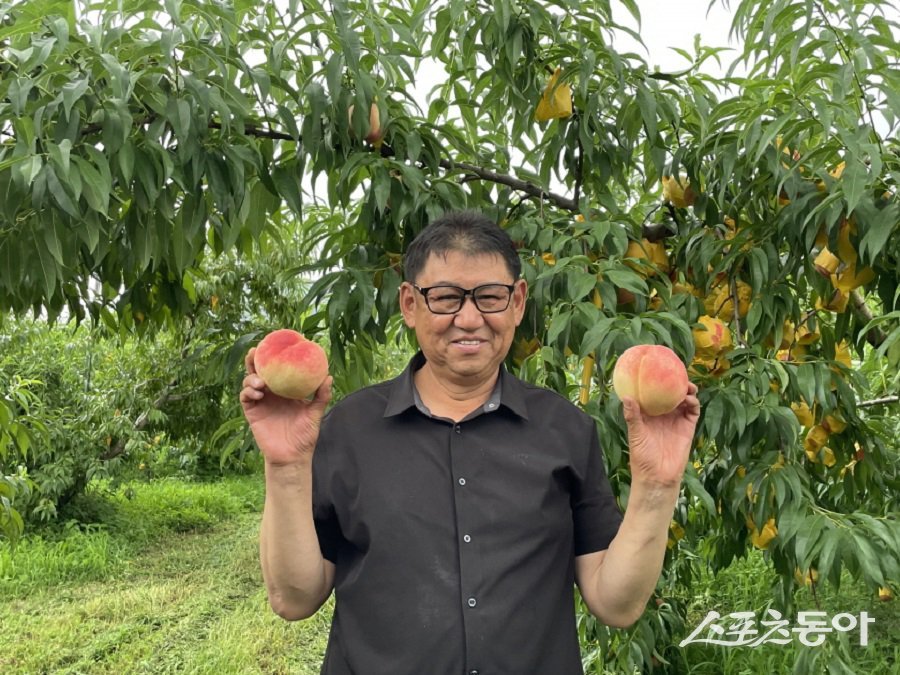 복숭아왕에 선정된 장현철씨 농가. 사진제공｜옥천군청