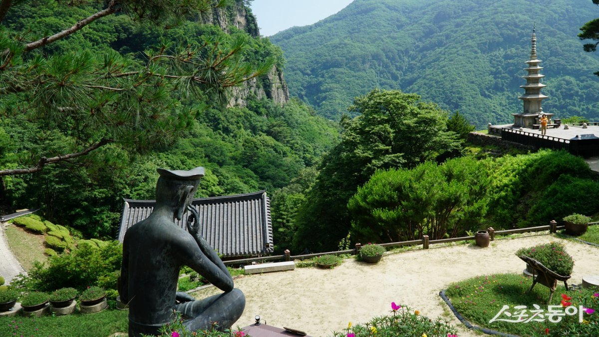 봉화 청량산에 있는 신라시대 고찰 청량사.  산비탈에 다소곳하게 자리한 절 앞으로 ‘3대 기악’ 중 하나로 꼽히는 청량산의 절경이 펼쳐져 있다.                                           봉화·영주｜김재범 기자 oldfield@donga.com