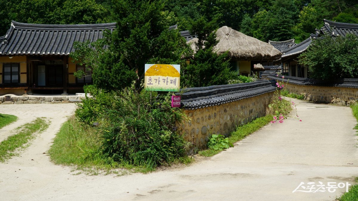 영주 무섬마을의 고택과 카페. 원래 정식 지명은 영주시 문수면 수도리이지만 ‘물 위에 떠 있는 섬’이라는 의미를 가진 무섬마을로 더 친숙하다                                                                            봉화·영주｜김재범 기자 oldfield@donga.com