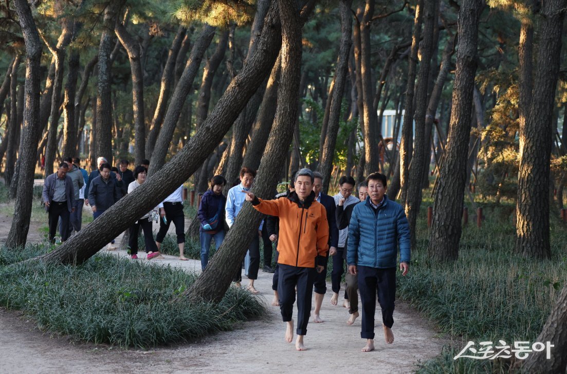 이강덕 포항시장과 간부공무원들이 맨발로 송도 솔밭을 걷고 있다./사진=포항시