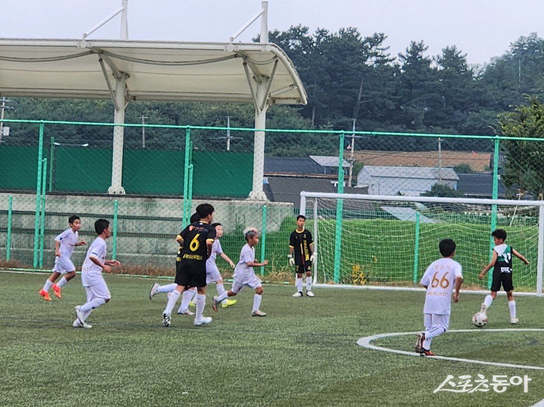 2024 천년의 빛 영광 하계 전국초등부 축구 리그. 사진제공=영광군