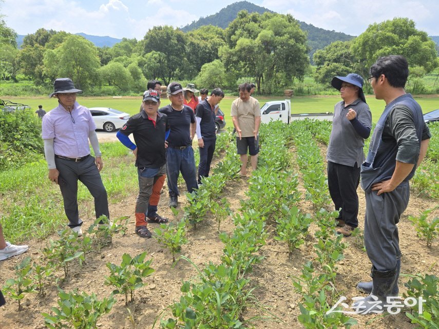 함평군 농업기술센터가 지난 8일 논콩 재배단지에서 콩 재배농가 30여 명을 대상으로 맞춤형 컨설팅 교육을 실시했다. 사진제공=함평군