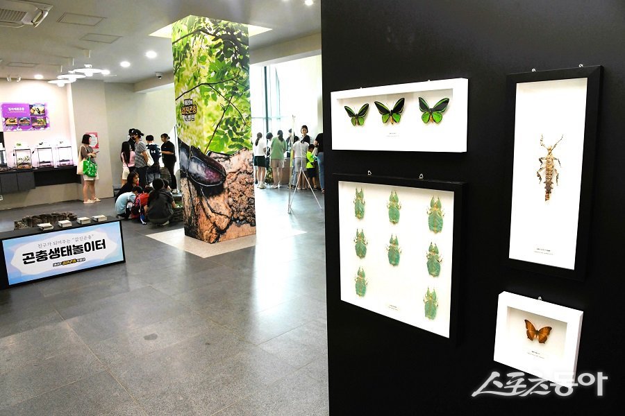 K-시흥시 벅스리움 여름방학 특별전 모습. 사진제공|시흥시청