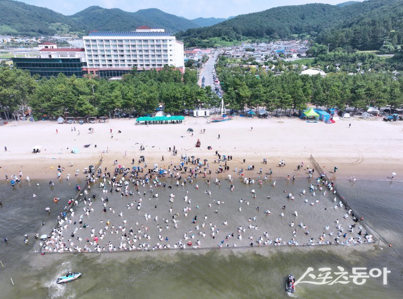 지난 16일부터 17일까지 율포솔밭해수욕장에서 열린 제16회 보성전어축제. 사진제공=보성군