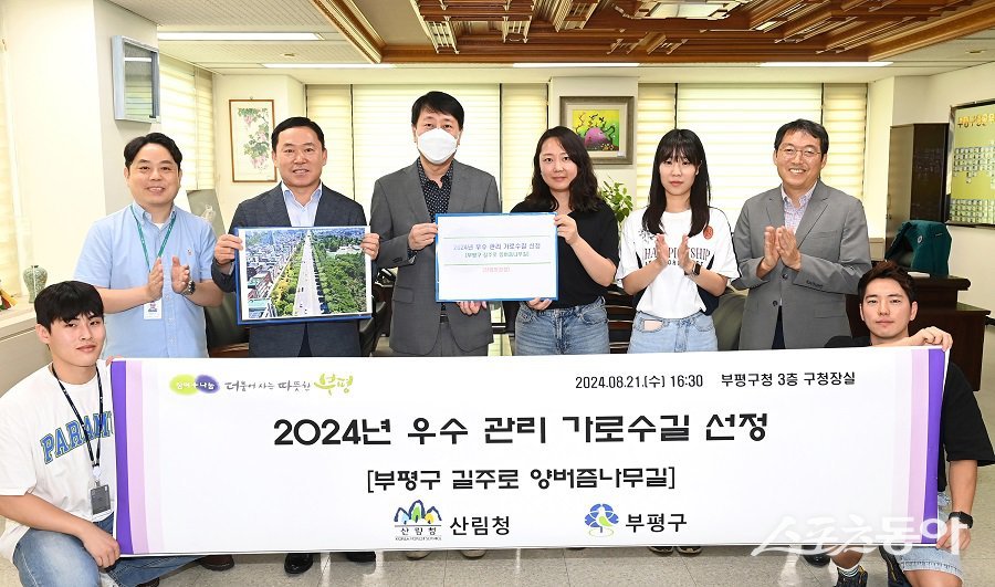 인천 부평구의 길주로 양버즘나무길이 산림청에서 선정한 ‘2024년 우수 관리 가로수길’에 이름을 올렸다. 사진제공｜부평구청