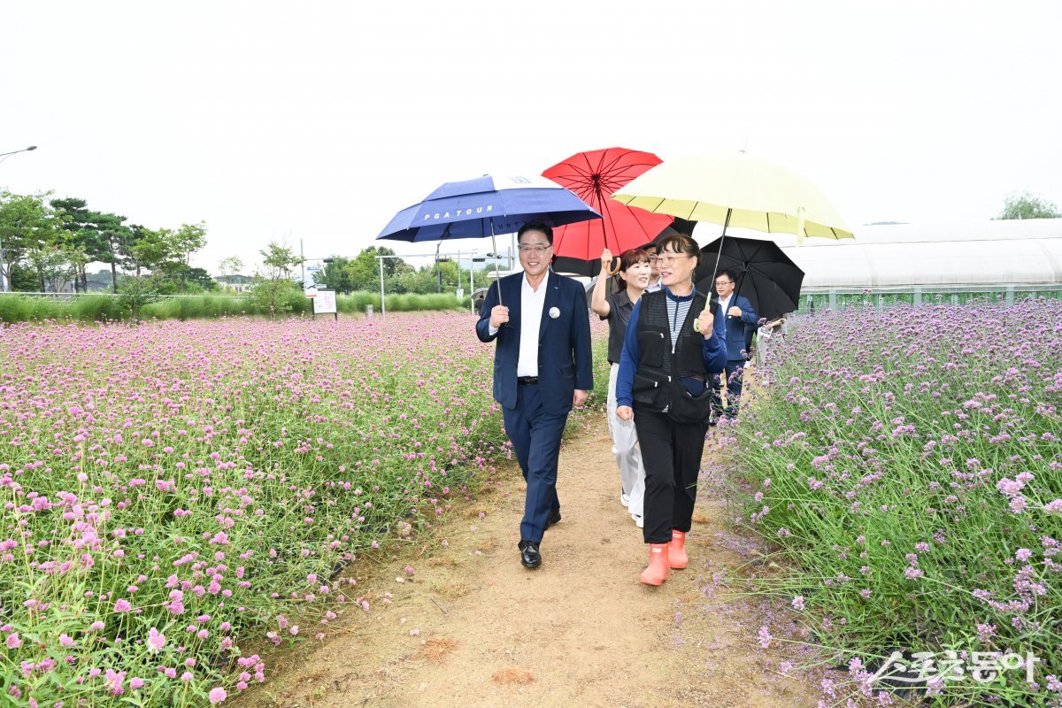 강수현 시장(윈쪽)이 27일 시장 주재로 김정민 부시장, 간부 공무원 등 20여 명이 참석한 가운데 나리농원에서 간부회의를 개최하고 현장을 점검하고 있다. 사진제공ㅣ양주시