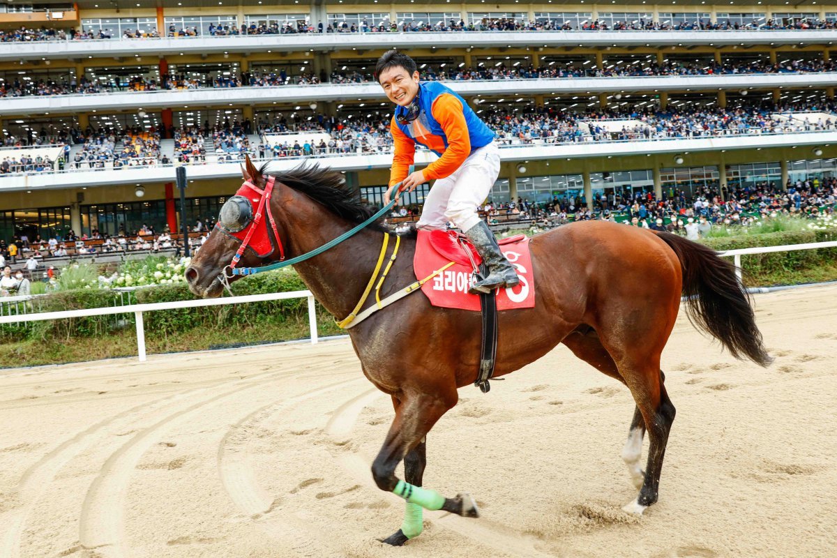 위너스맨. 2022년 코리아컵에서 서승운 기수와 호흡을 맞춰 우승했을 때 모습이다. 두번째 코리아컵 우승을 노린다                                                                                                                                                                                 사진제공｜한국마사회