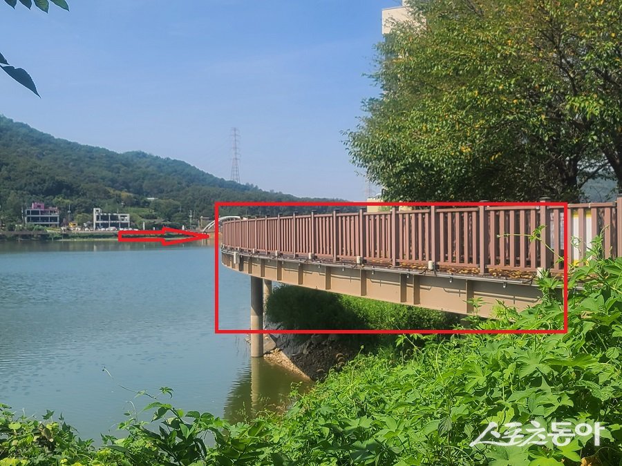 31일, 시흥시 개발제한구역 물왕호수 수변데크 부교 불법 현장 모습. 사진｜장관섭 기자