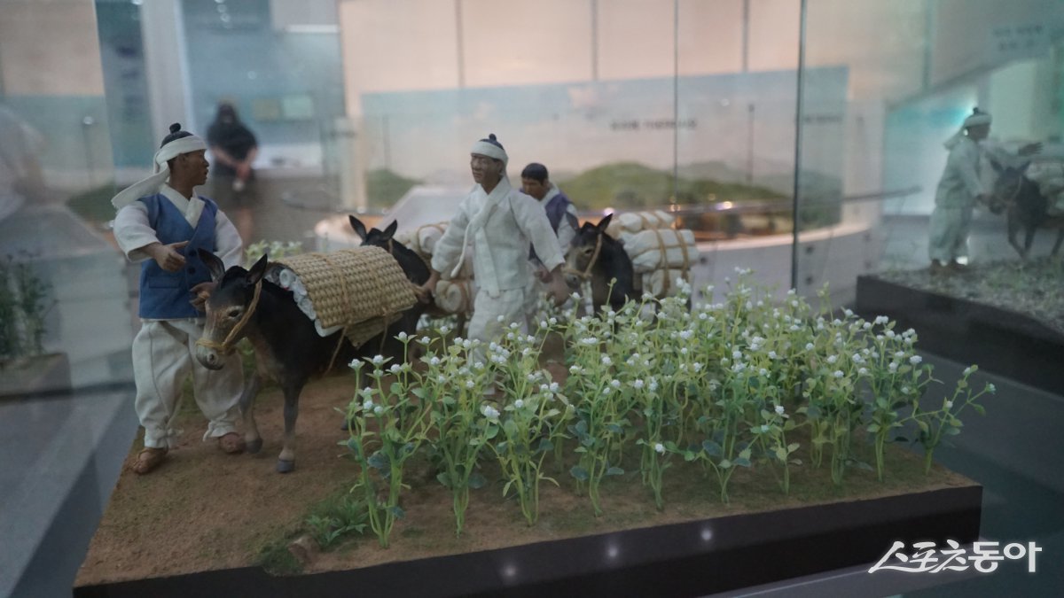 이효석 문학관에 있는  ‘메밀 꽃 필 무렵’을 소재로 한 디오라마. 나귀에 짐을 싣고 장으로 가는 허생원 일행을 표현했다                                                                                                                              평창｜김재범 기자 oldfield@donga.com