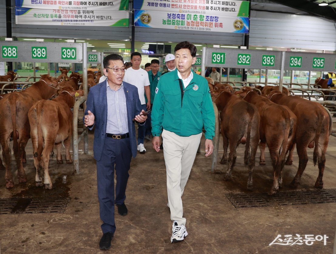 김철우 보성군수가 지난 3일 추석 대목장을 맞아 보성축협 가축시장을 방문한 모습. 사진제공=보성군