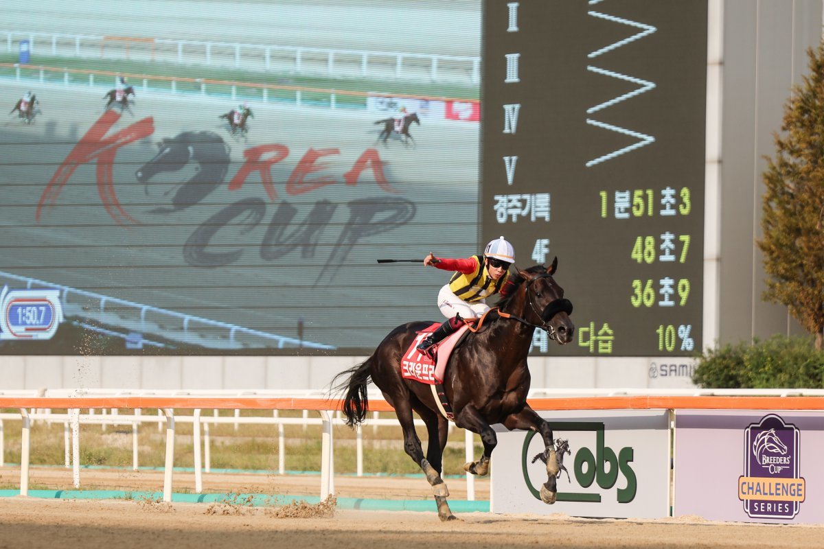 8일 렛츠런파크서울에서 열린 ‘제7회 코리아컵’에서 2연패를 달성한 우승마 일본의 크라운프라이드와 요코야마 기수가 결승선을 통과하며 승리의 포즈를 취하고 있다                                                                       사진제공｜한국마사회