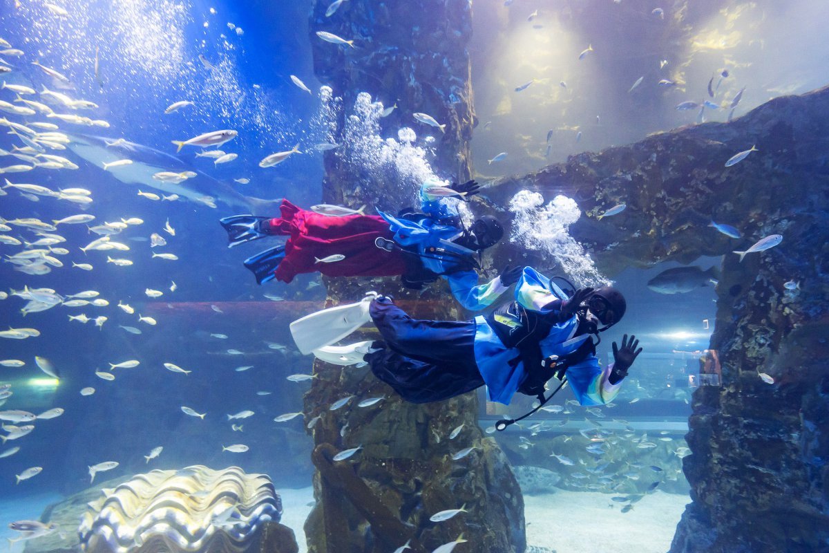 롯데월드 아쿠아리움의 한복 입은 아쿠아리스트 ‘수중 퍼포먼스’                                                         사진제공｜롯데월드