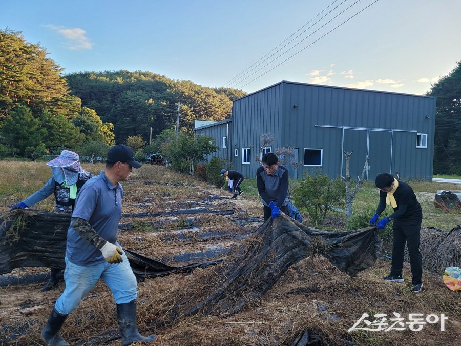 뜨거운 여름 햇살 아래, 강원도 자치법령과 직원들의 구슬땀이 맺혔다. 사진제공｜강원도청