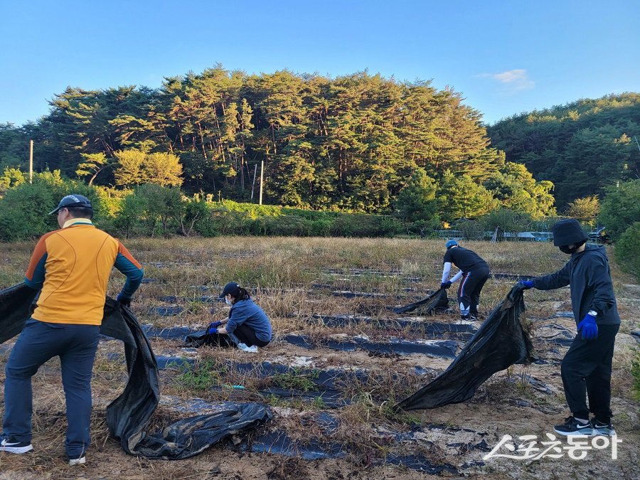 뜨거운 여름 햇살 아래, 강원도 자치법령과 직원들의 구슬땀이 맺혔다. 사진제공｜강원도청