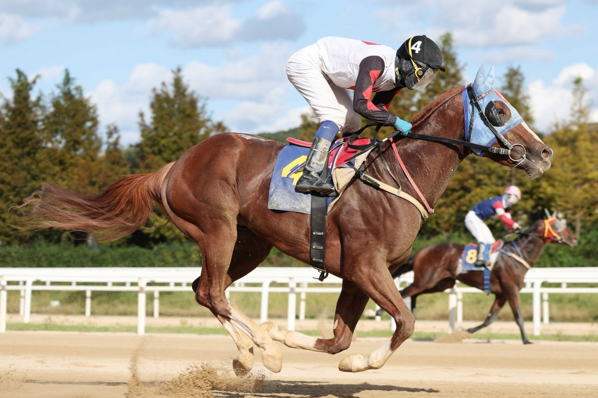9월 29일 렛츠런파크 서울에서 진행한 1800m 장거리 대상경주(일간스포츠배)에서 우승한 늘가을과 이혁기수의 질주 모습 사진제공|한국마사회