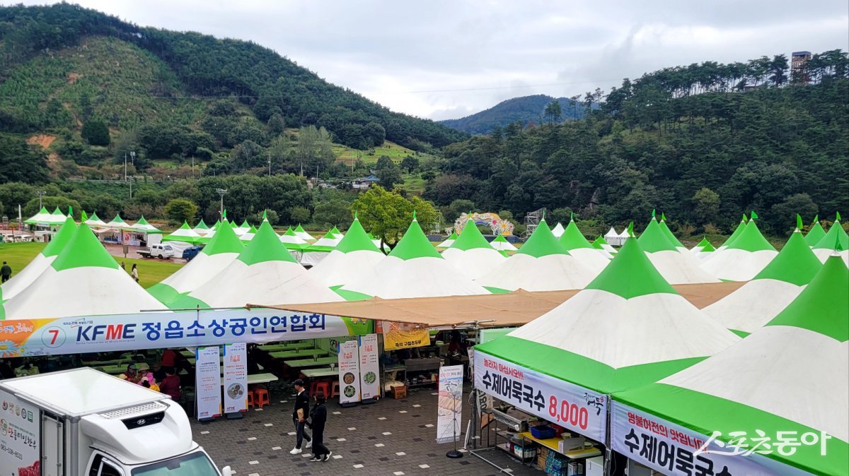 지난 3일 정읍 구절초 지방 정원에서 열린 제17회 구절초 꽃축제 현장. 사진제공=백일성 기자