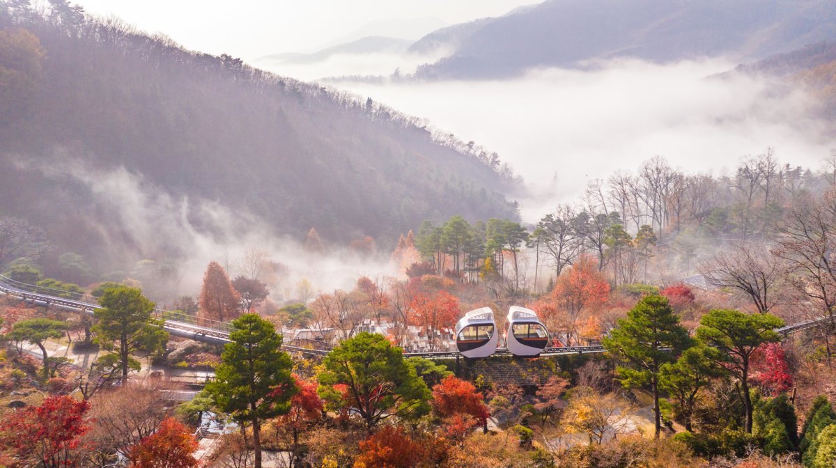 화담숲은 보다 편리한 관람을 위해 입장과 모노레일 탑승 모두 온라인 사전 예약제로 운영한다  화담숲은 보다 편리한 관람을 위해 입장과 모노레일 탑승 모두 온라인 사전 예약제로 운영한다