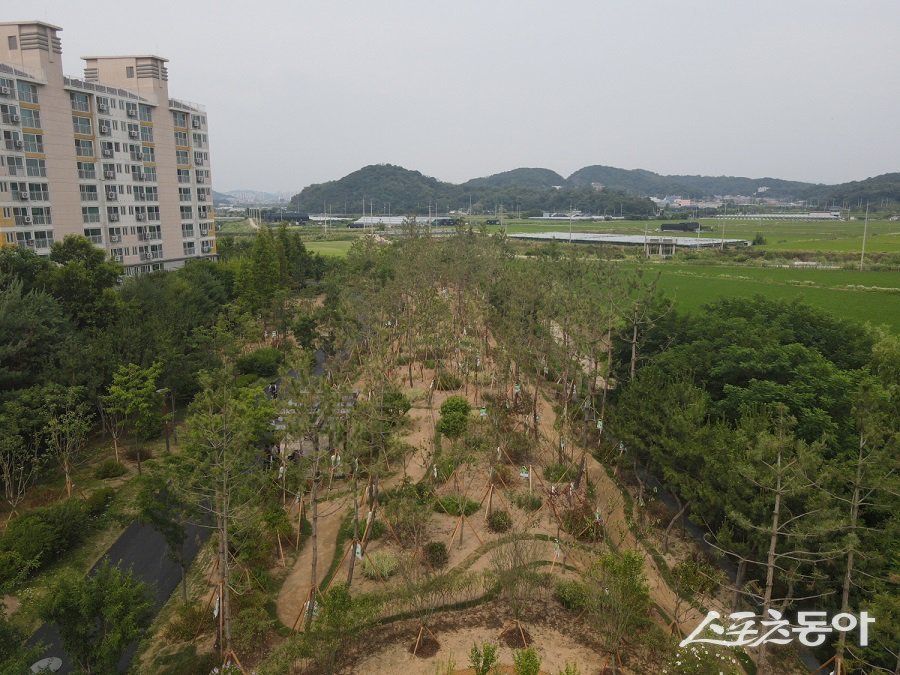 영동고속도로변 기후대응 도시숲. 사진제공｜남동구청