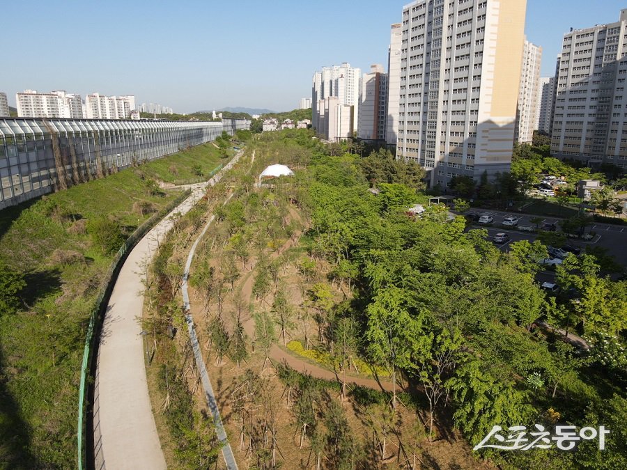 제2경인고속도로변 기후대응 도시숲. 사진제공｜남동구청