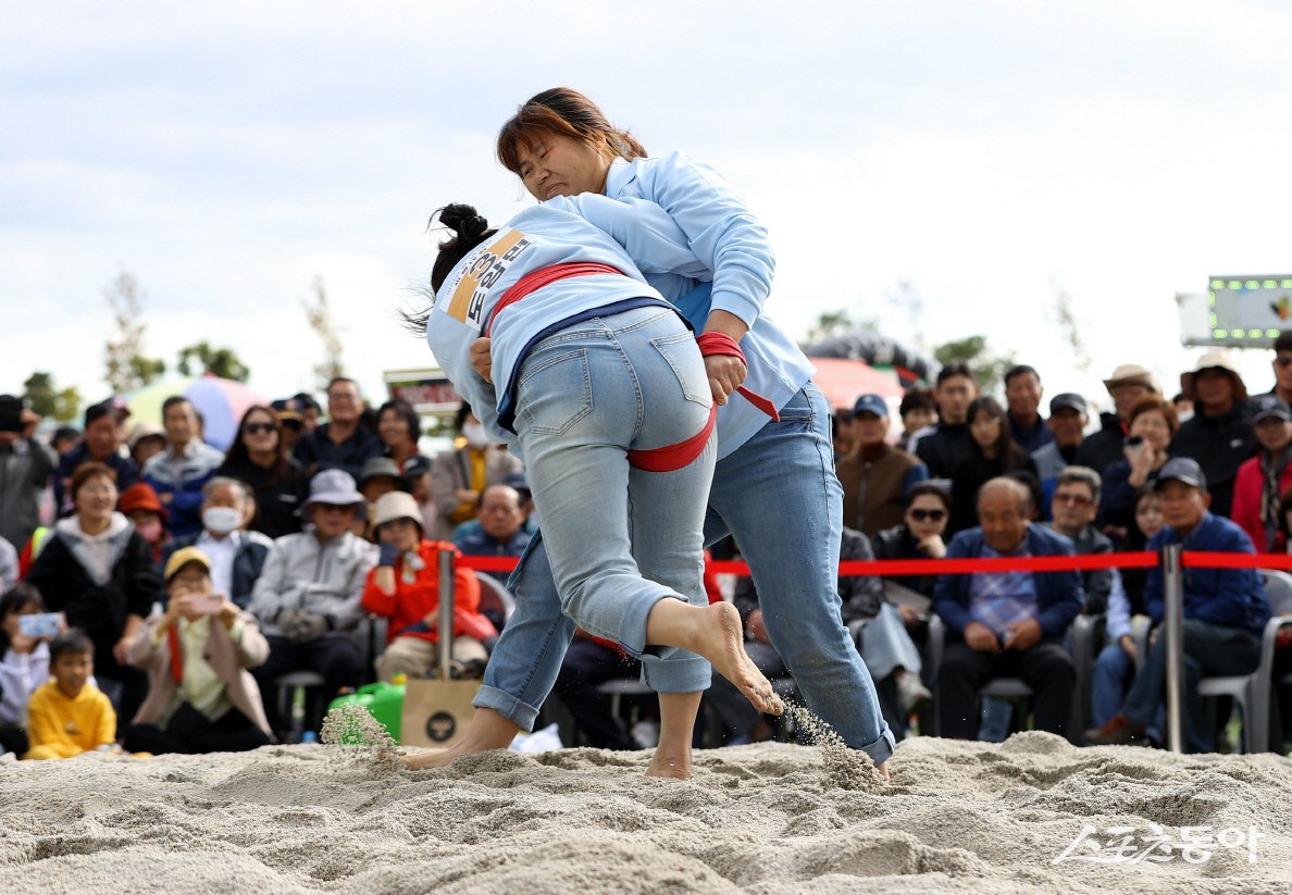 지난 2023년 강진만 춤추는 갈대축제장에서 열린 강진군민씨름대회. 사진제공=강진군