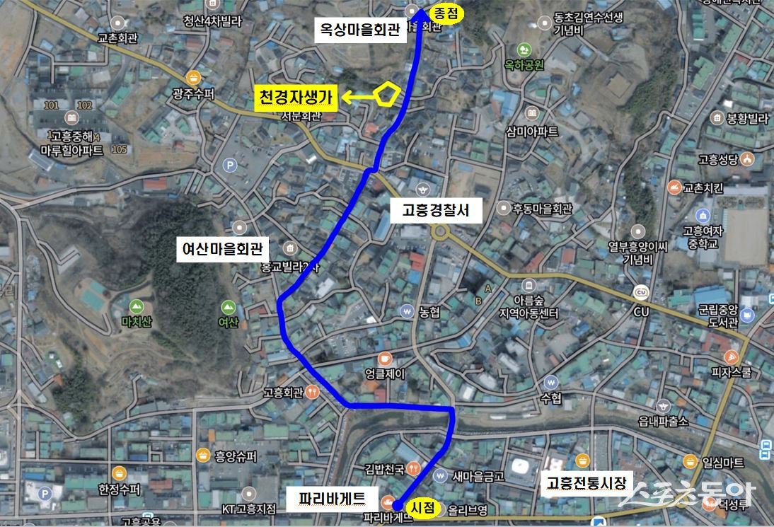 고흥군이 최근 천경자 화백의 탄생 100주년을 기념해 ‘천경자예술길’이라는 명예도로명을 부여했다. 사진제공=고흥군