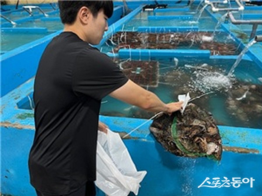 수산물 안전성 조사 시료 수거 모습. 사진제공｜인천시청