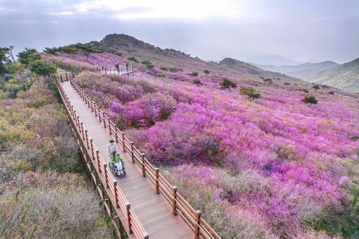 2021년 열린관광지로 선정된 대구 비슬산 군립공원                                                                          사진제공｜한국관광공사