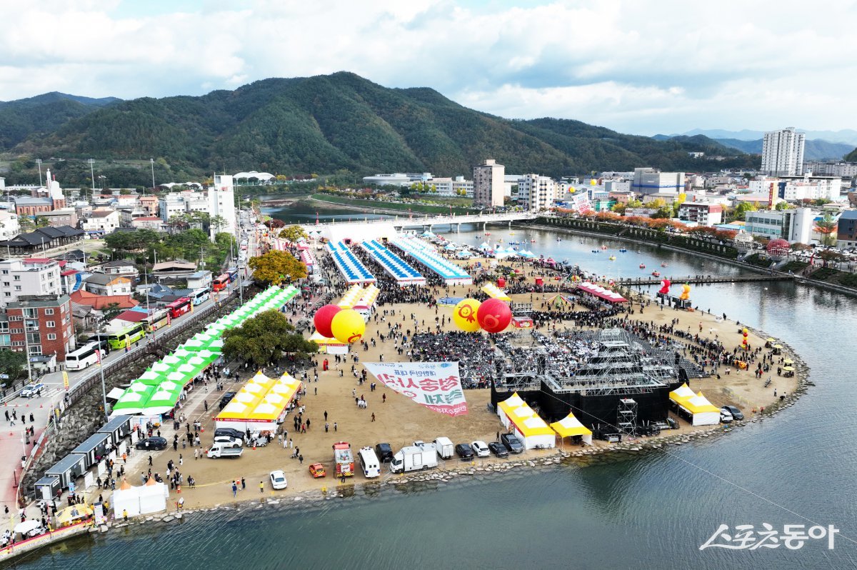 청송사과축제장 전경./사진=청송군