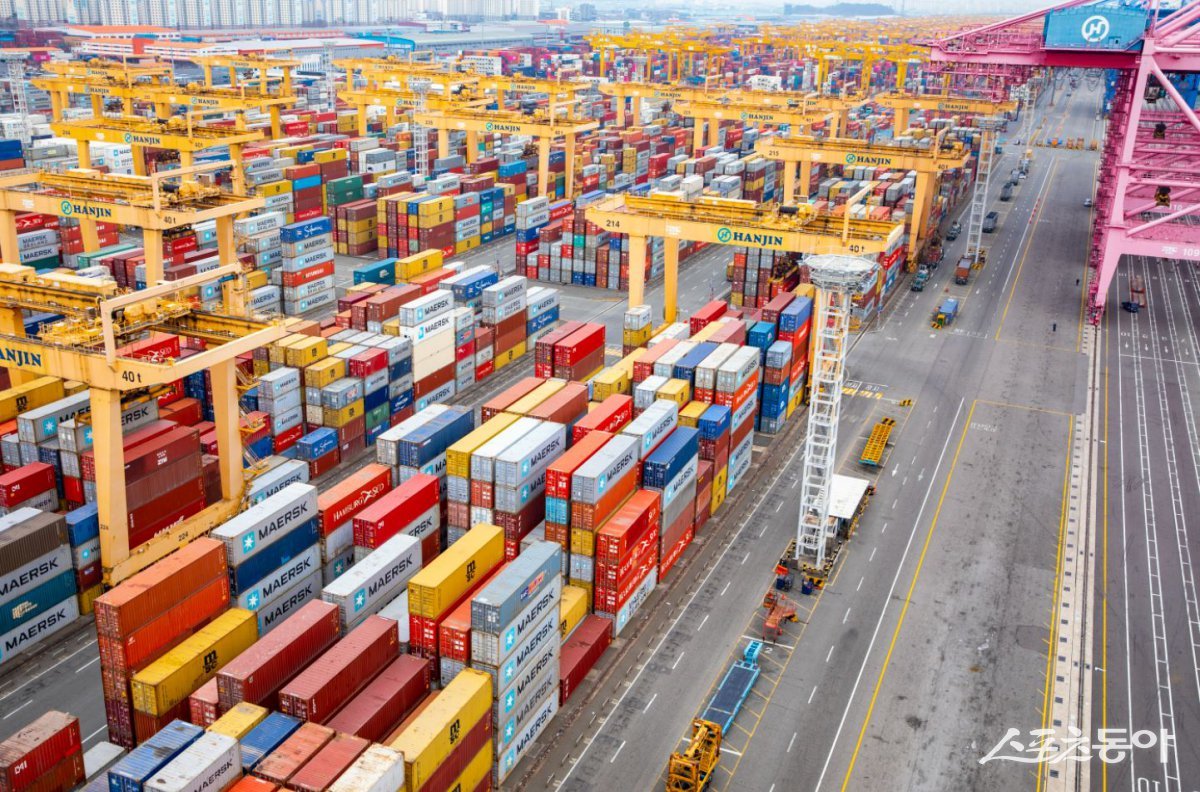 부산항 신항 3부두의 트랜스퍼크레인(야드크레인) 전경. (사진제공=부산항만공사)